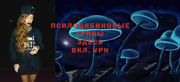 спайс Богданович