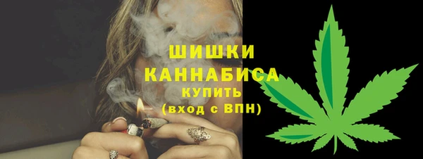 спайс Богданович