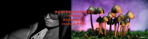 спиды Беломорск